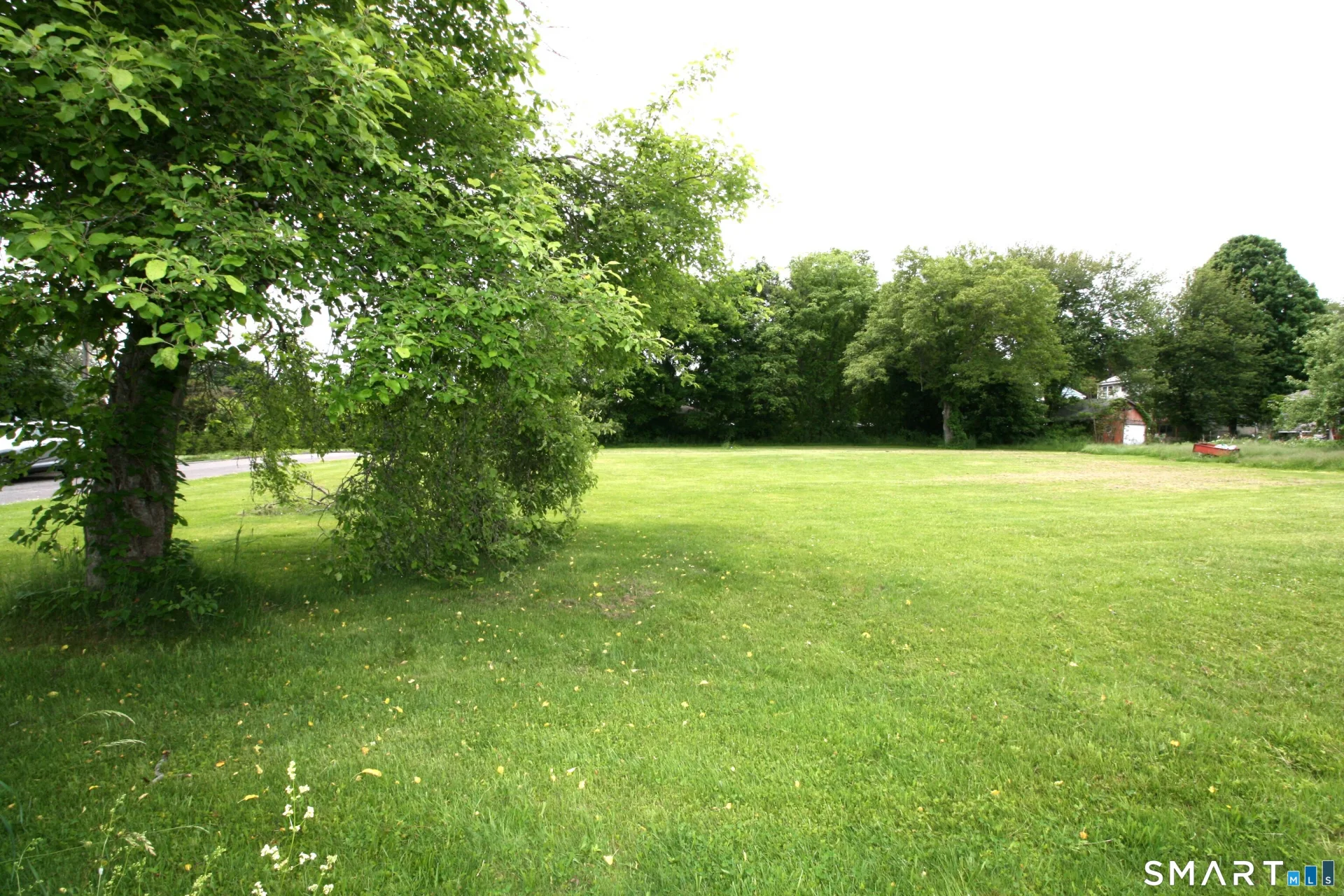 Claudia Lane, Wolcott, CT