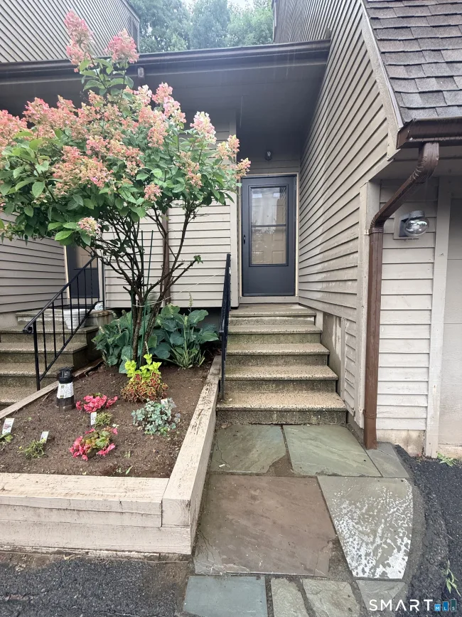 489 Wolcott Street #10