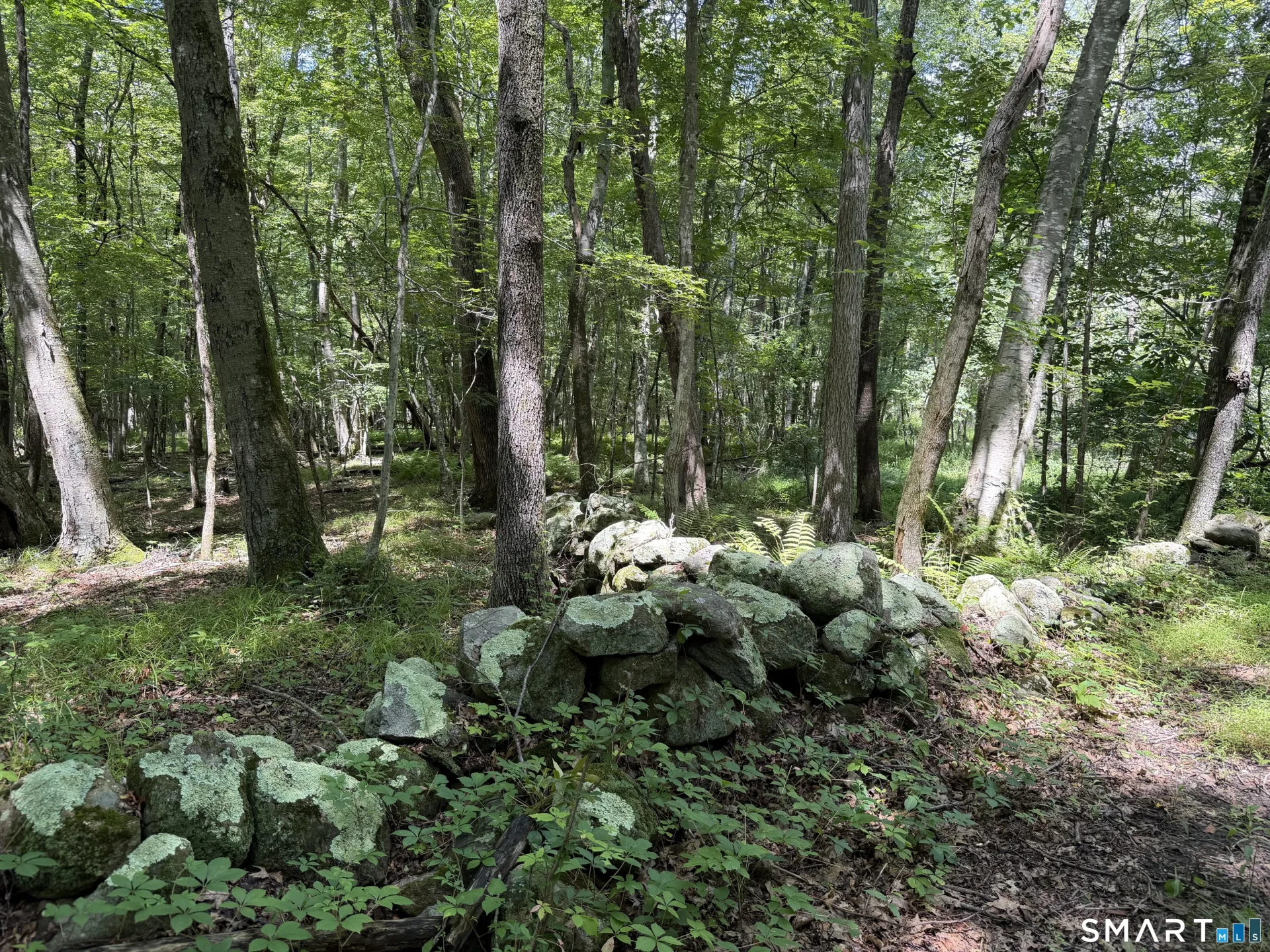 121 Walker Road, Canterbury, CT
