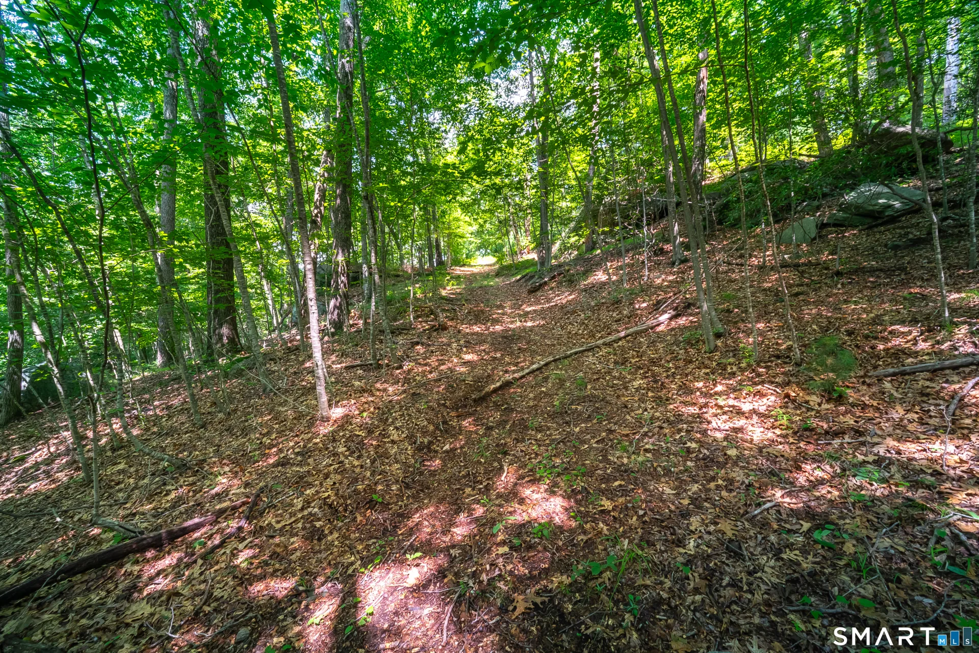 61 Silver Springs Drive, Haddam, CT