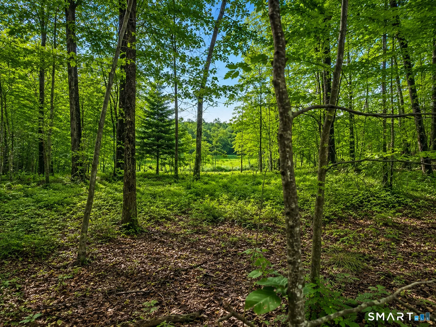 281 Woodland Street, Glastonbury, CT
