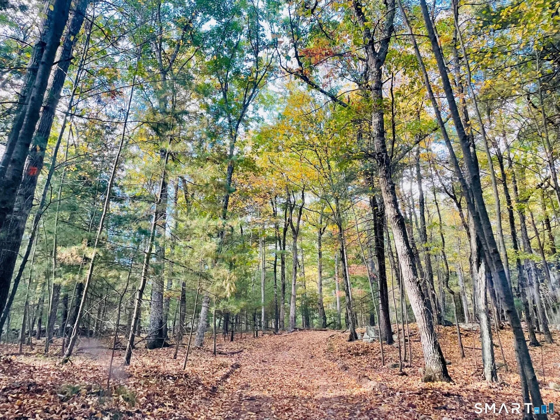 245 Knollwood Drive, Glastonbury, CT