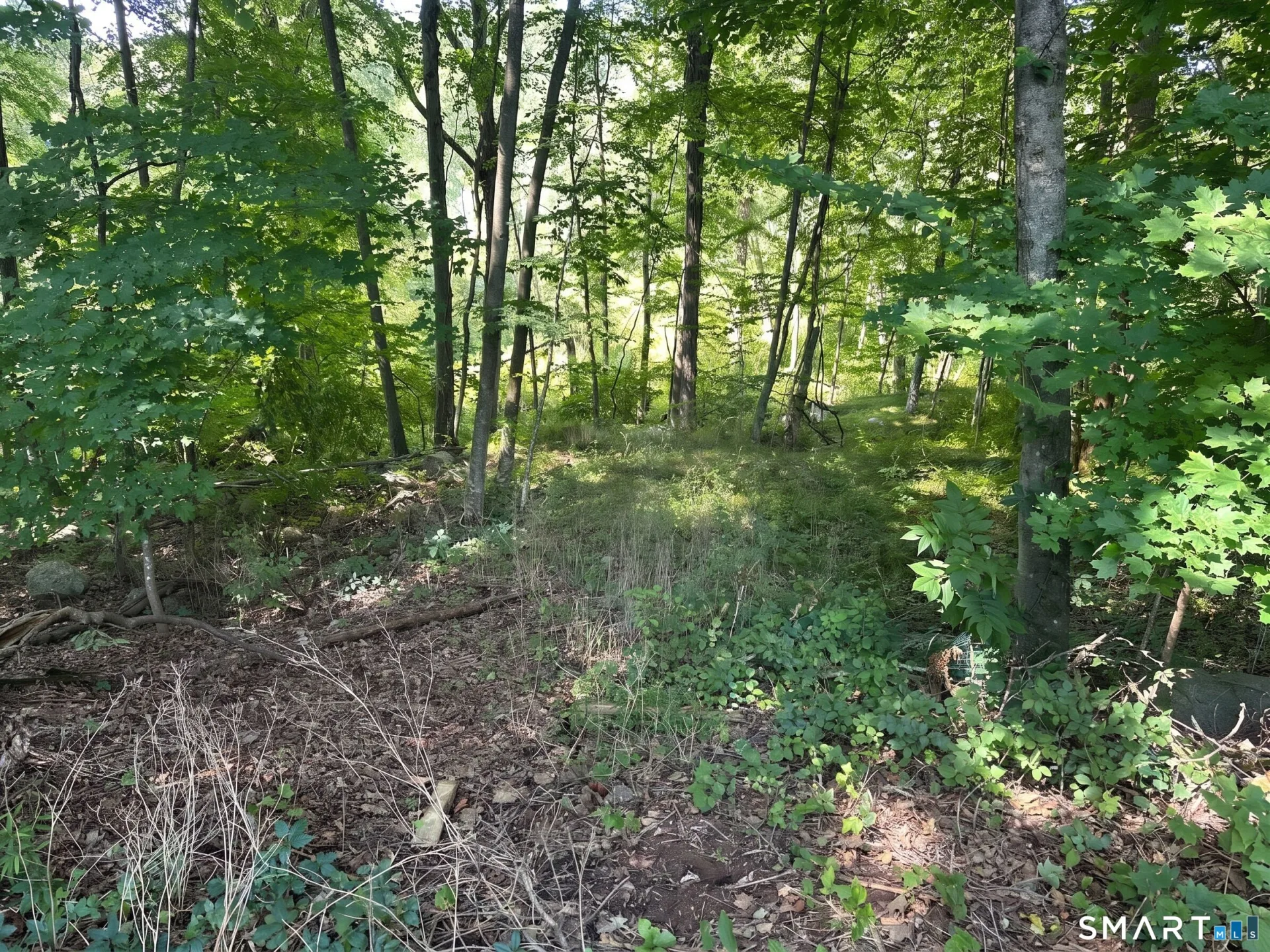 56 Hubbell Mountain Road, Sherman, CT
