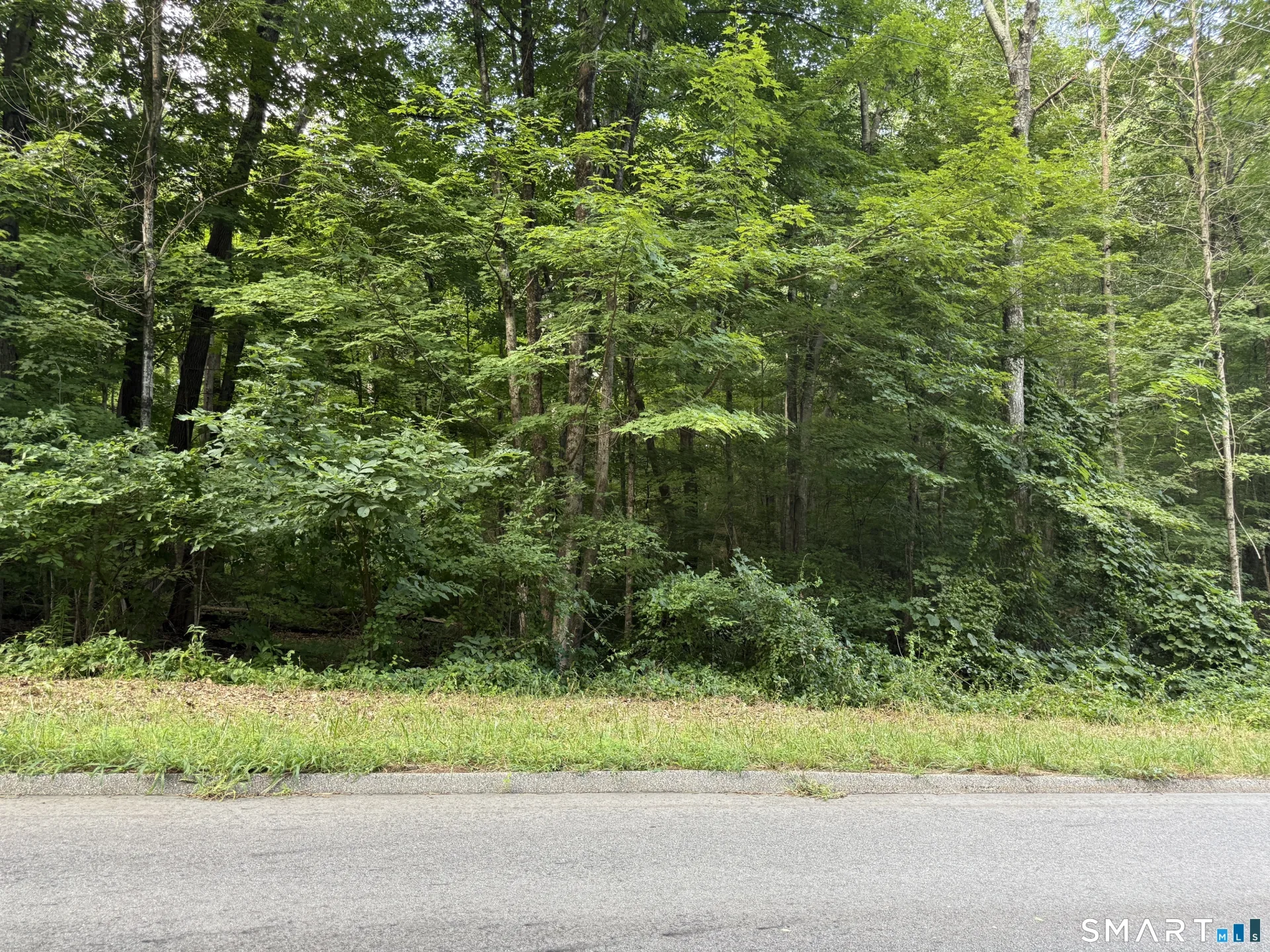 Gaulin Road, Columbia, CT