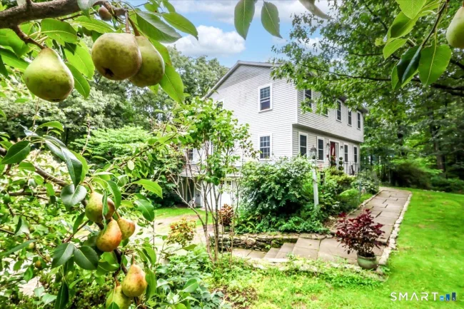 323 Upper Grassy Hill Road