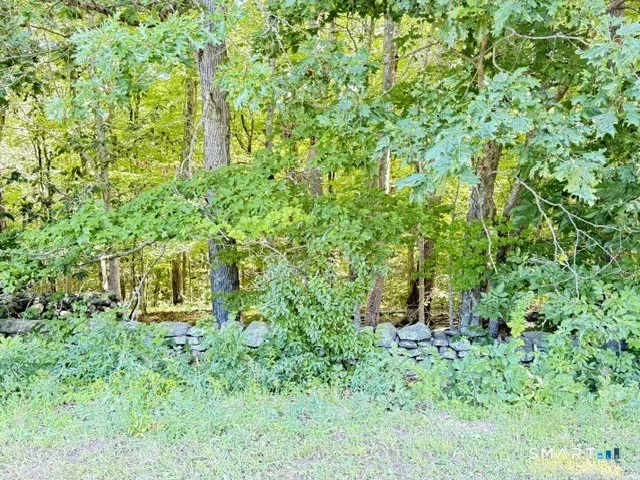 Beaver Dam Road, Killingworth, CT