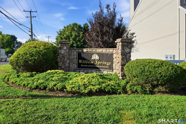 249 Willow Springs