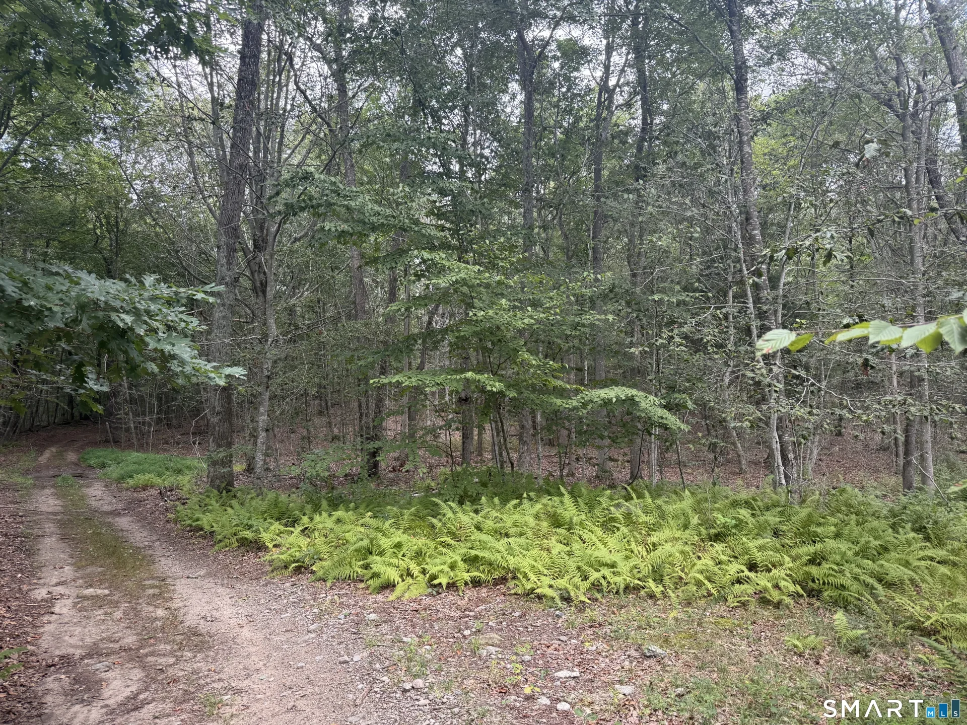 lot 29 Route 32 Route, Franklin, CT