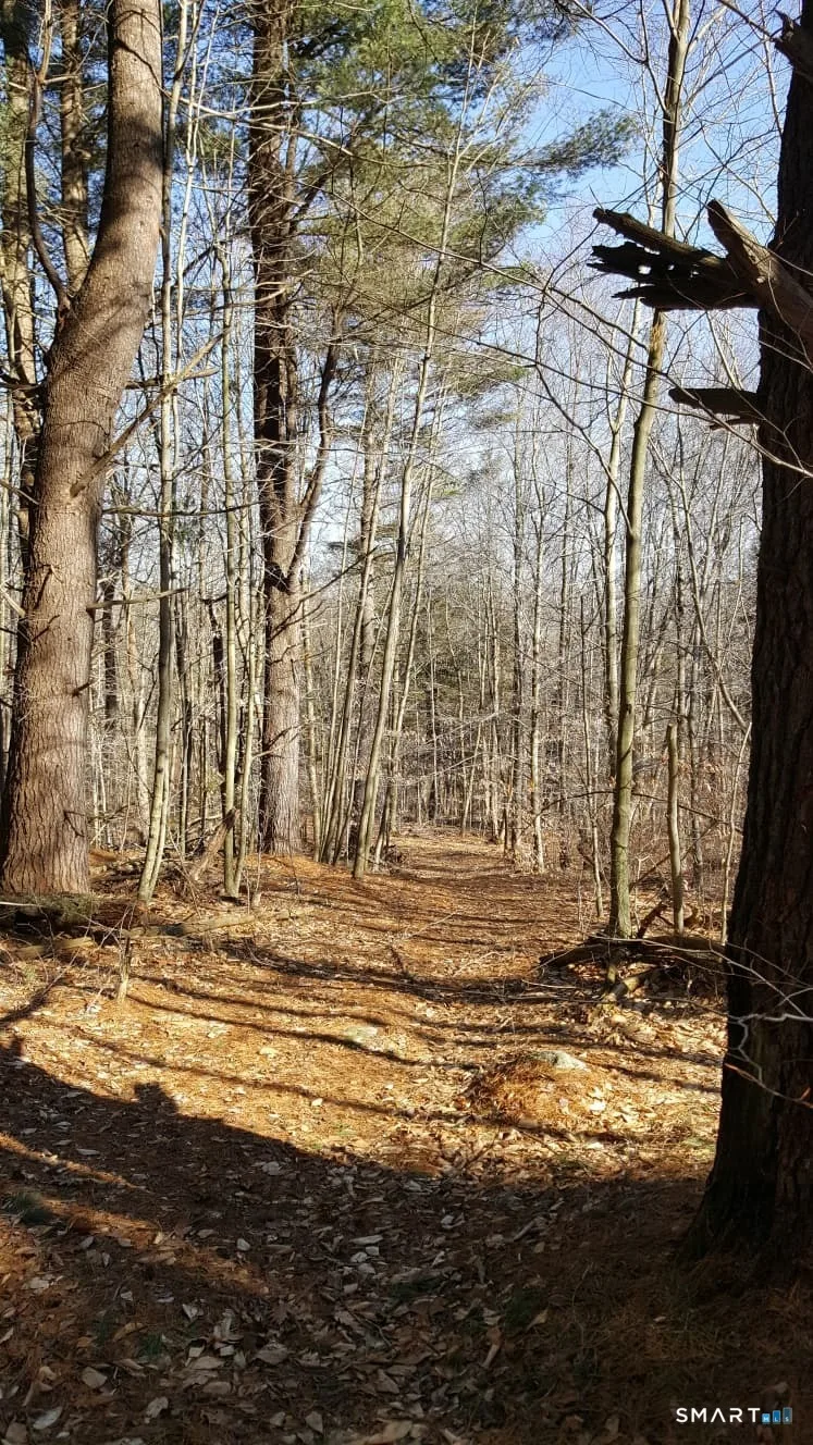 53 Flag Hill Road, Colebrook, CT