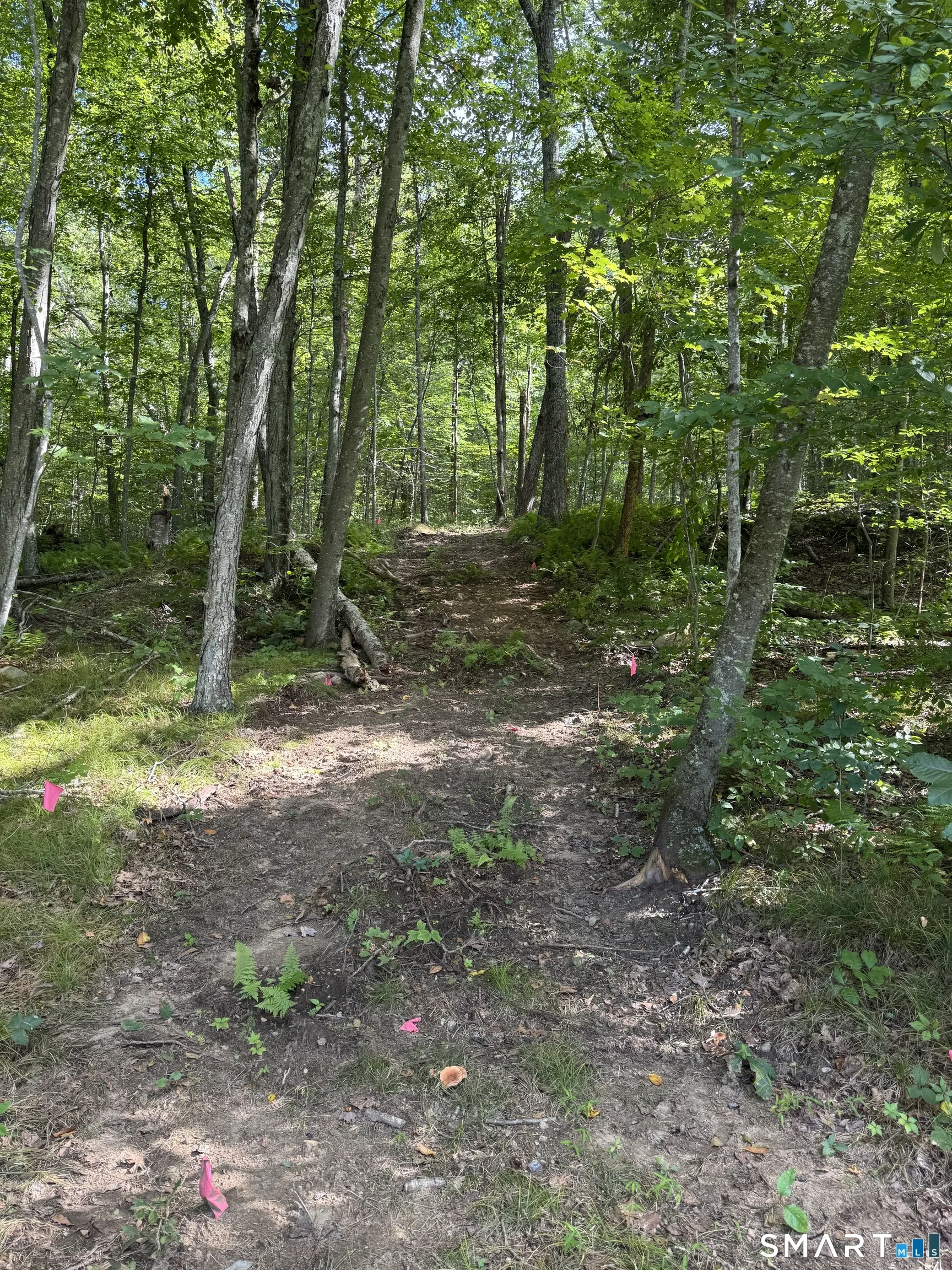 Tater Hill Road, East Haddam, CT
