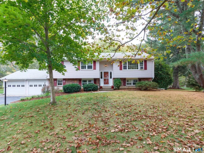 55 Russo Drive