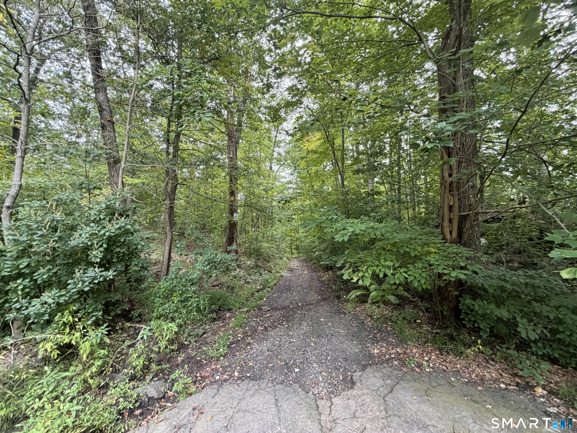 Bow Lane, Middletown, CT