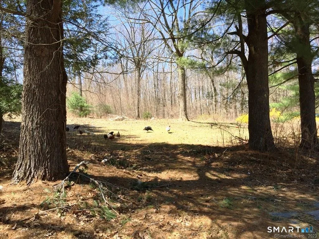 159 Campville Road, Litchfield, CT