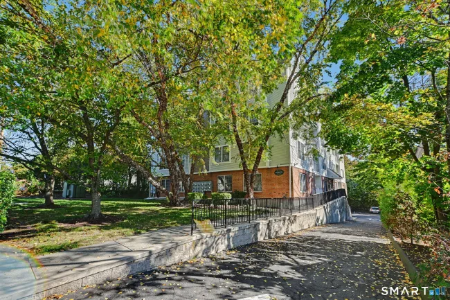 4 Lowe Street #203