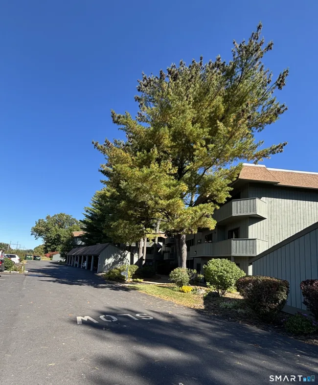 19 Hickory Hill #19