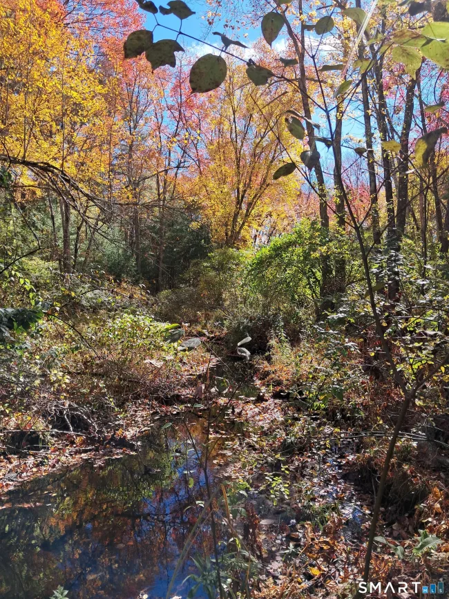 Crystal Lake Road