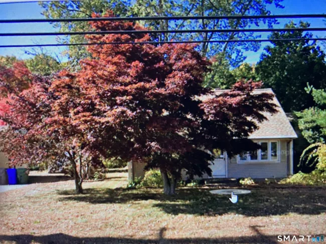 237 King Street