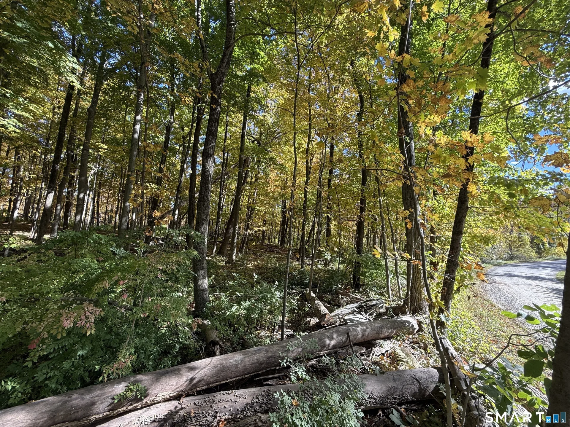 Joray Road, Sharon, CT
