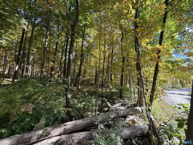 Joray Road, Sharon, CT