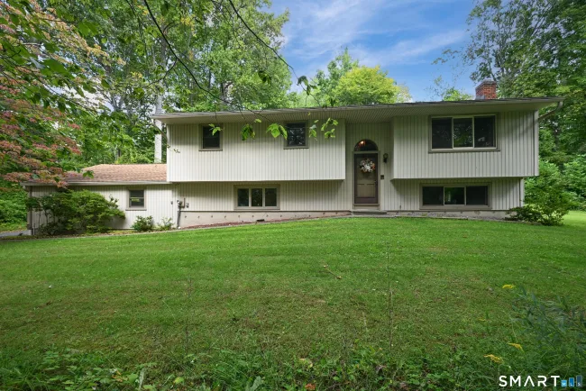 19 Willow Run