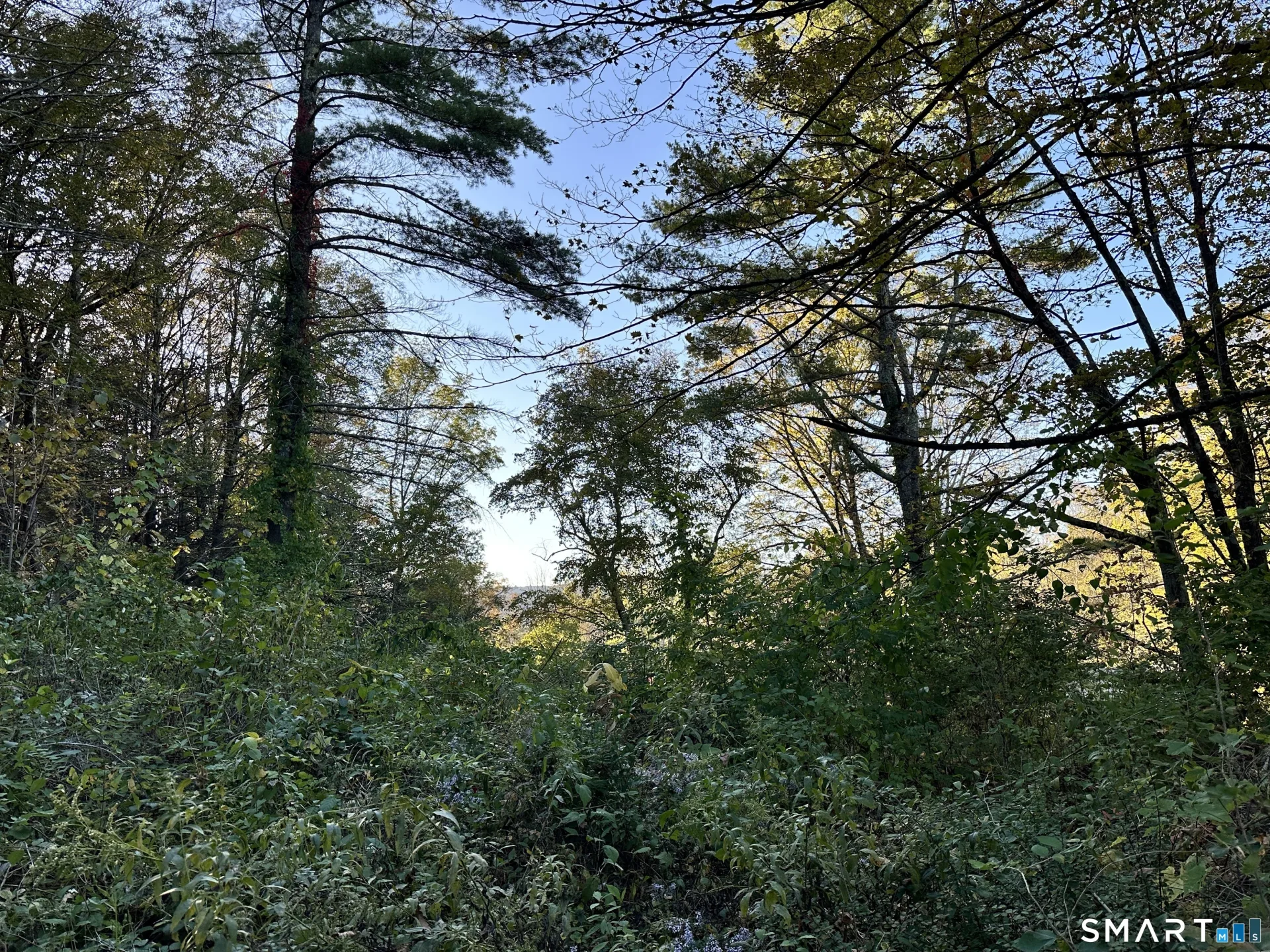 5 Prospect Mountain Road, Salisbury, CT