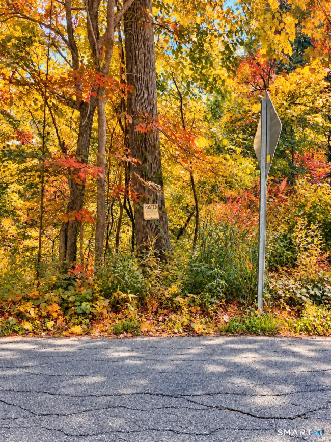 Cherry Swamp Road, East Haddam, CT